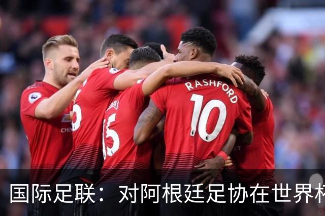国际足联：对阿根廷足协在世界杯上的违规违纪行为展开调查-国际在线